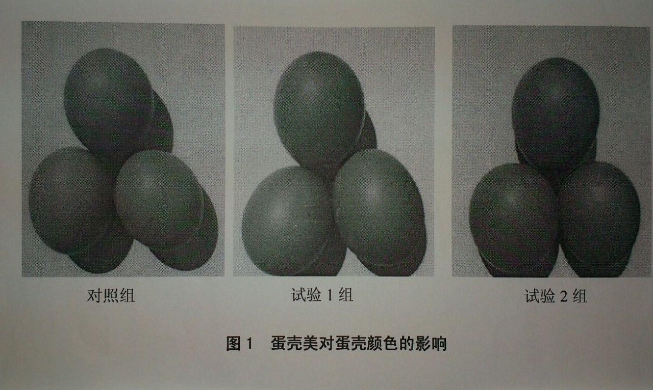 首页-人生就是博中国官方网站