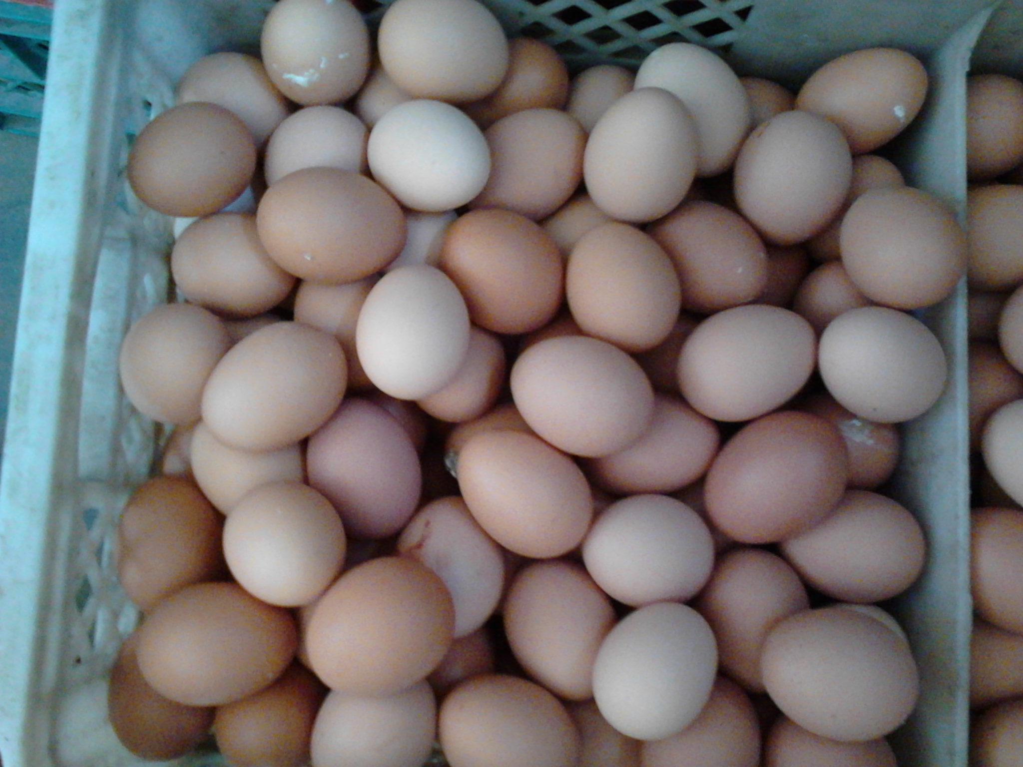 首页-人生就是博中国官方网站