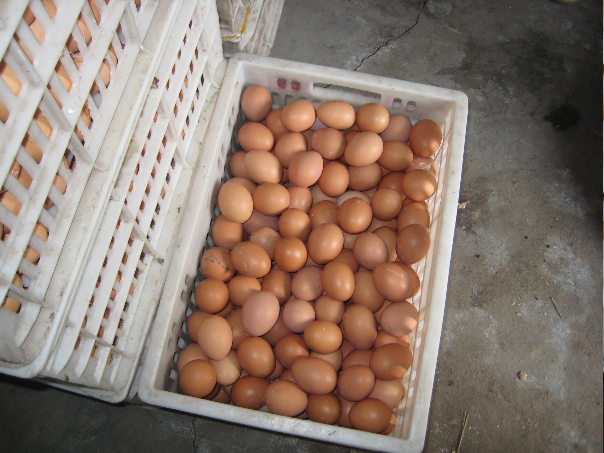 首页-人生就是博中国官方网站