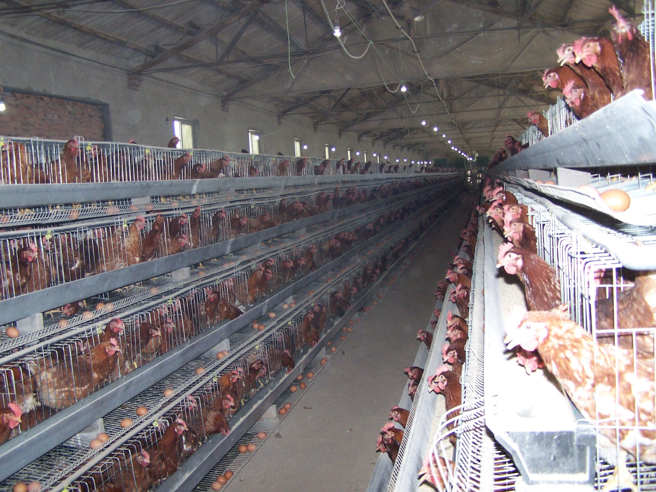 首页-人生就是博中国官方网站