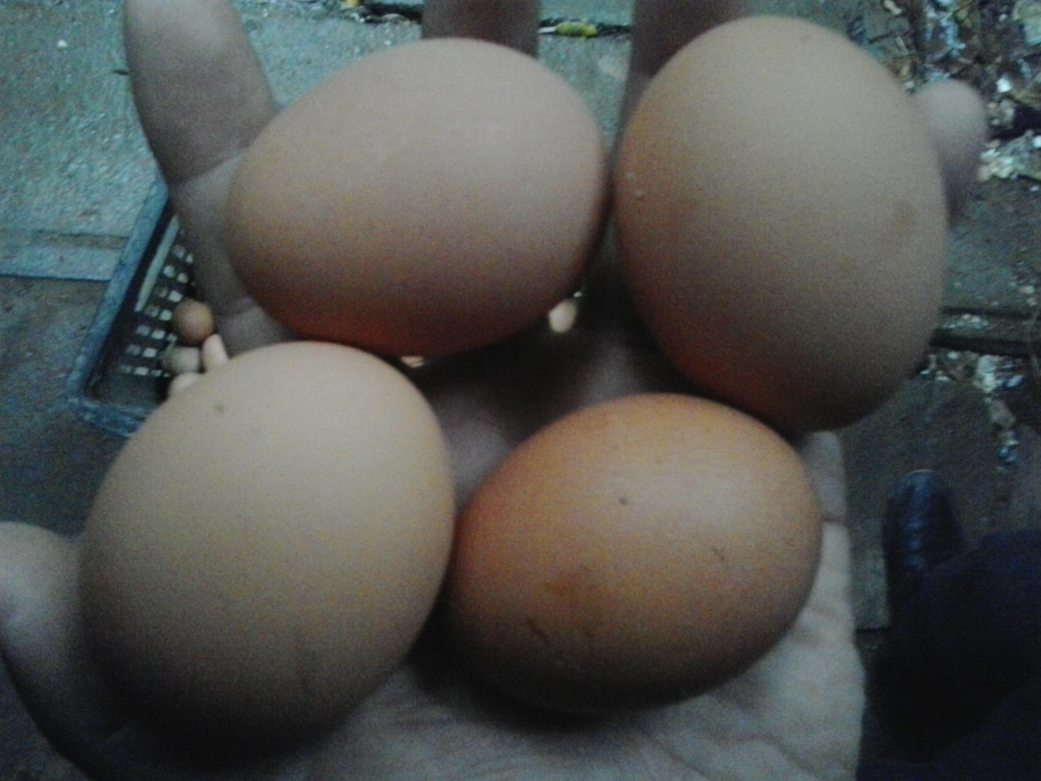 首页-人生就是博中国官方网站