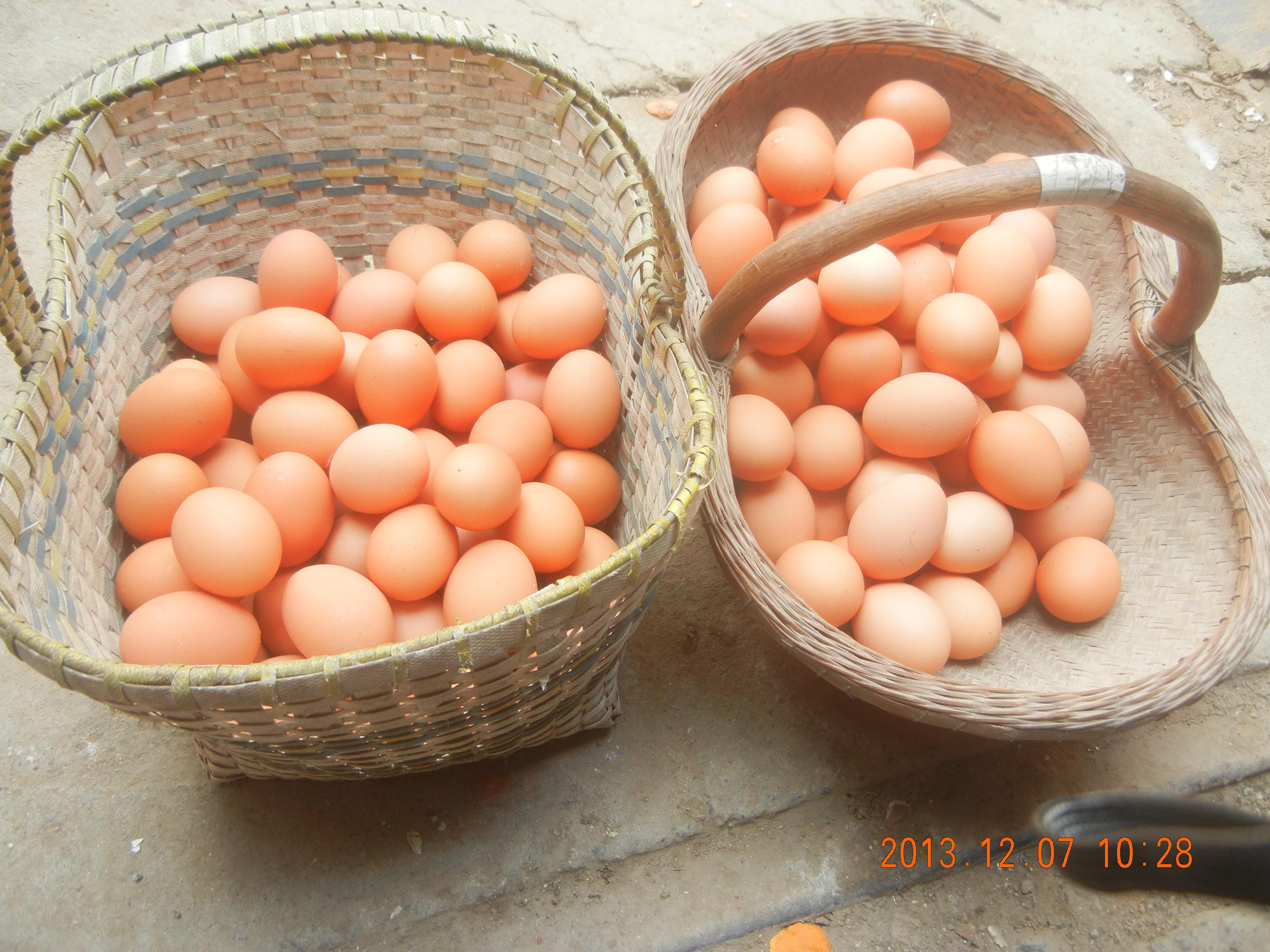 首页-人生就是博中国官方网站