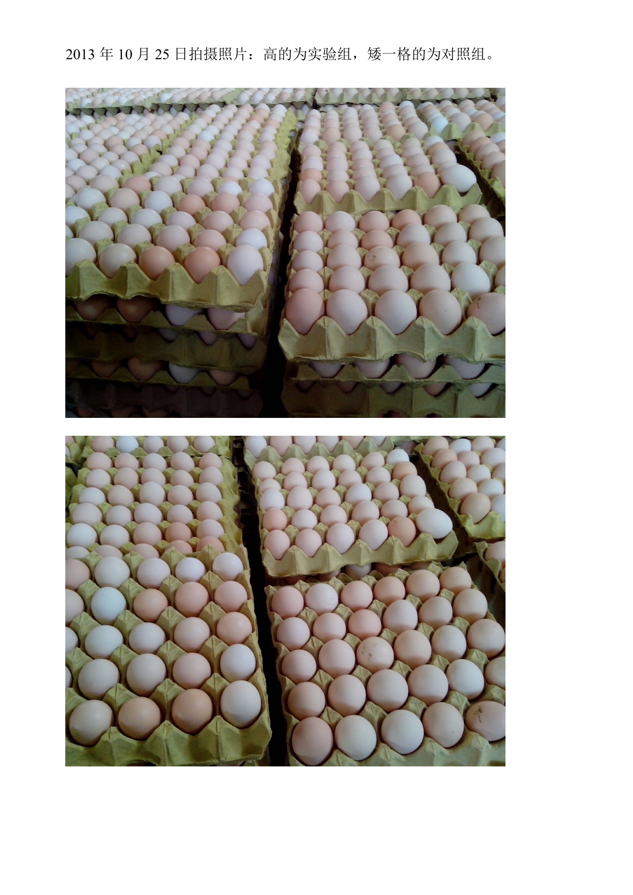 首页-人生就是博中国官方网站