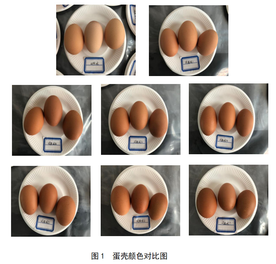 首页-人生就是博中国官方网站