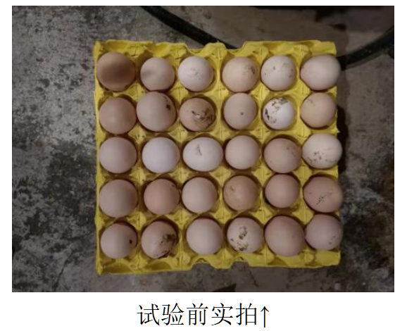 首页-人生就是博中国官方网站