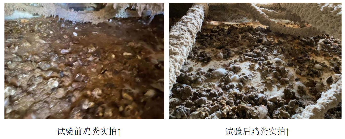 首页-人生就是博中国官方网站